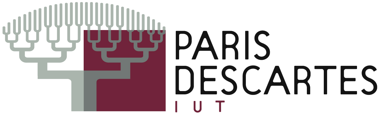 logo_iut_descartes